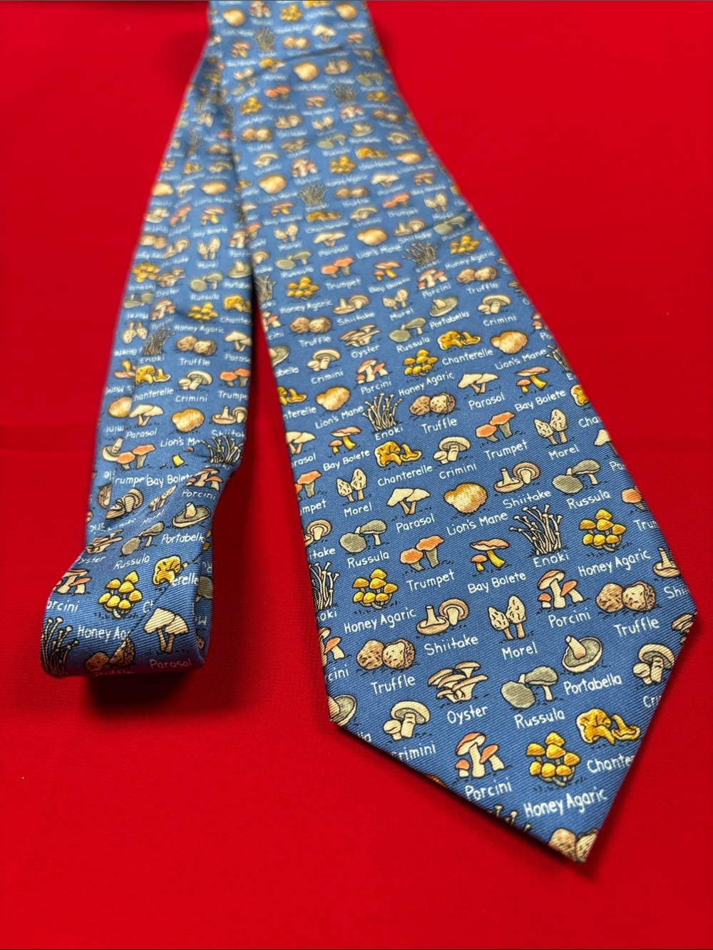 Alynn I’m a Fun-gi silk mushroom tie!!